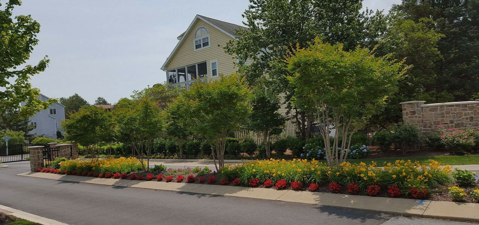 Your Choice For <br> A Beautiful Yard