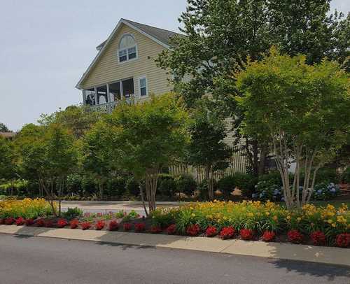 Your Choice For <br> A Beautiful Yard