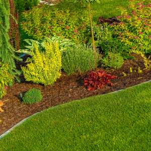 Landscape Design & Maintenance