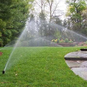Irrigation System Installation & Repair